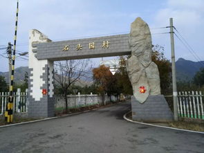 乔布斯 牛顿 夏娃,用三颗苹果改变世界后,第四颗出现了