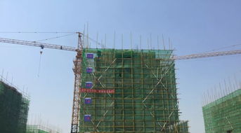 稻田这个村马上要整村搬迁了 快看是哪个村