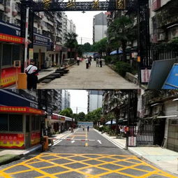 六大行动 提升小区环境 组团服务 推动 三治 创新