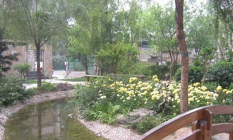 图 牡丹园知春路新出大量房源 主卧 次卧独卫 温馨舒适 干净整洁 北京租房