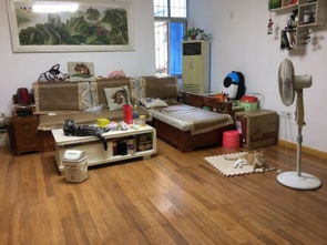 七里新村 通透中装2房 配套齐全 临墨水湖公园 好地好生活