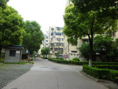 上海高南新村及七里新村实景图集 室外环境与小区配套一览