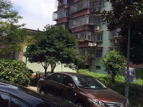 七里垫新村与七里新村 城市变迁中的双生印记