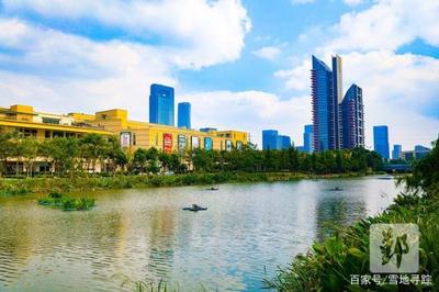 第二届“我身边的最美河道”评选候选河道丨后塘河(福明段) 七里新村的生态明珠