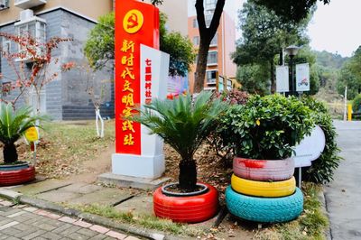 湖北宜昌猇亭“五星”生态公民守护一江清水浩荡东流