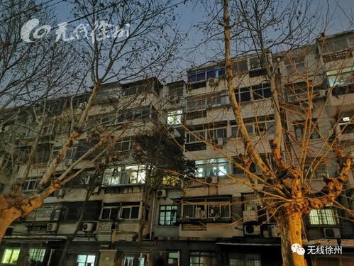 徐州岁月 1983年,在老街的平房里,我们这样过