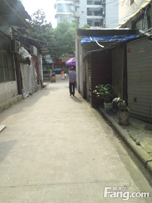 七里新村_七里新村