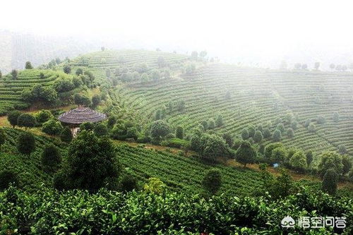 到桂林旅游,你最想去哪个景区玩