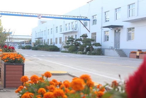 七里新村 建在食品工厂里的3A级景区